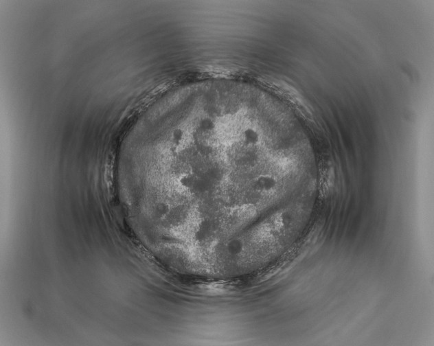 X0000112930365200909211118