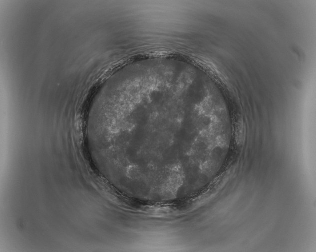 X0000112930366200909211118