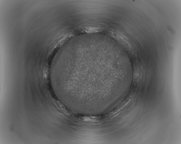X0000112930367200909211118