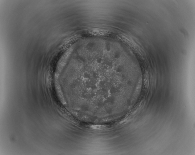 X0000112930371200909211118