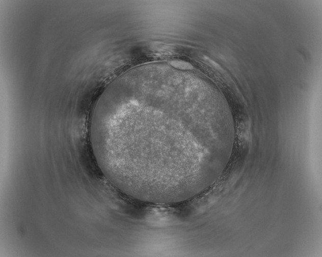 X0000112930372200909211118