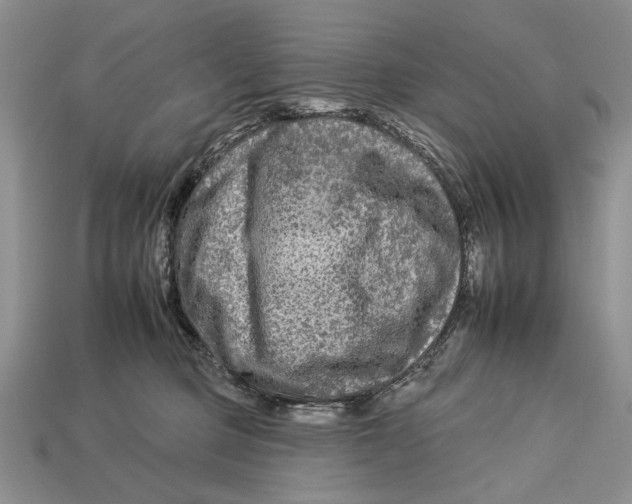 X0000112930373200909211118