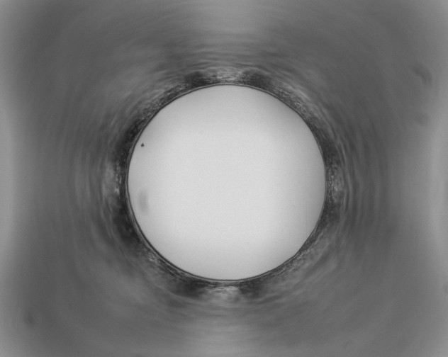 X0000112930374200909211118