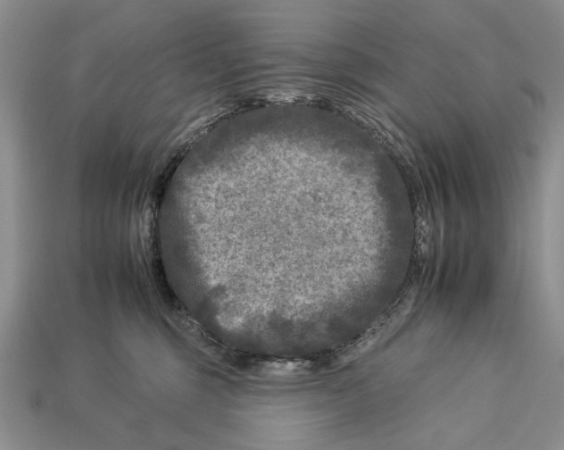 X0000112930375200909211118