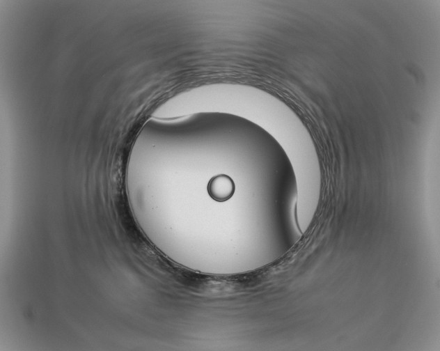 X0000112930376200909211118