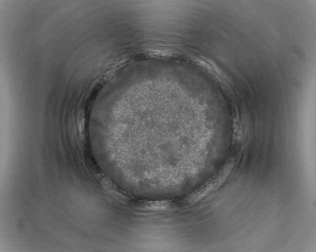 X0000112930377200909211118