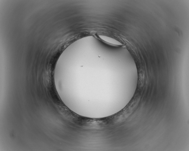 X0000112930379200909211118