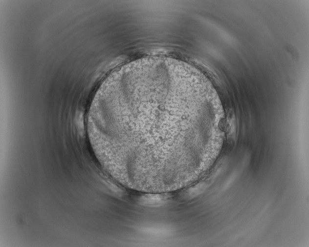 X0000112930381200909211118