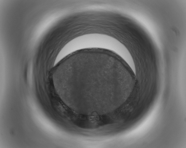 X0000112930382200909211118