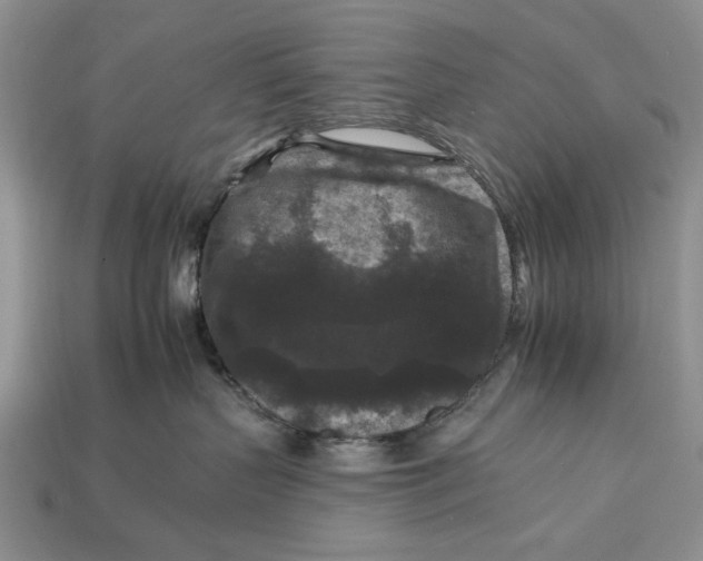 X0000112930383200909211118