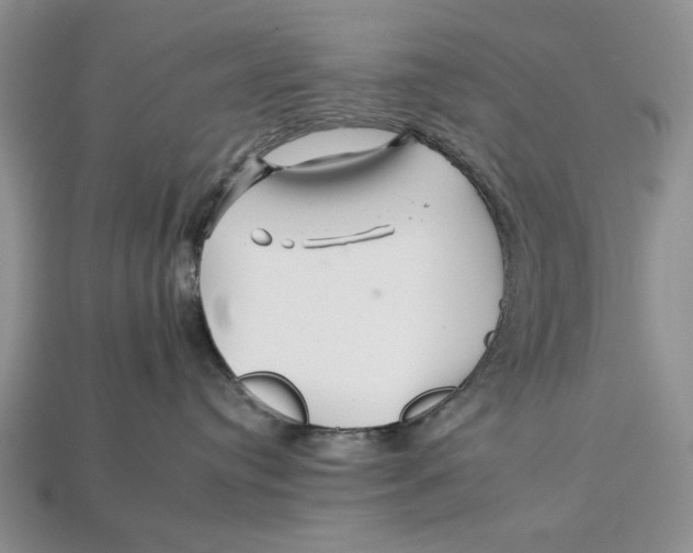 X0000112930384200909211118