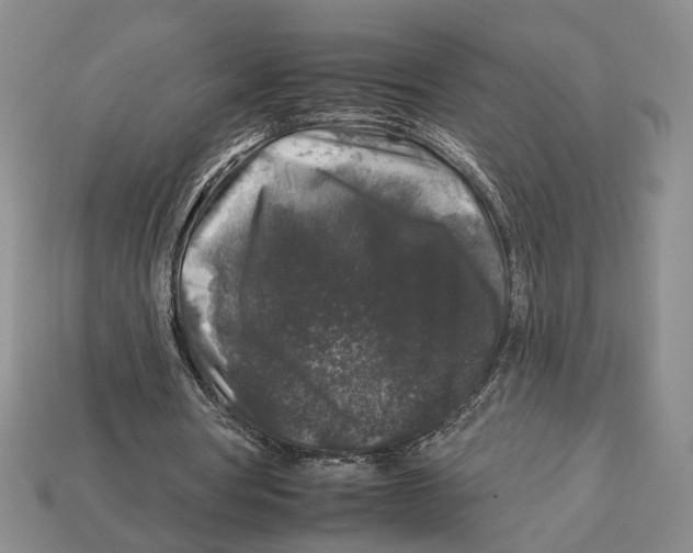 X0000112930386200909211118