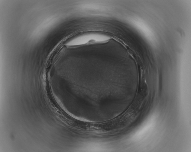 X0000112930387200909211118