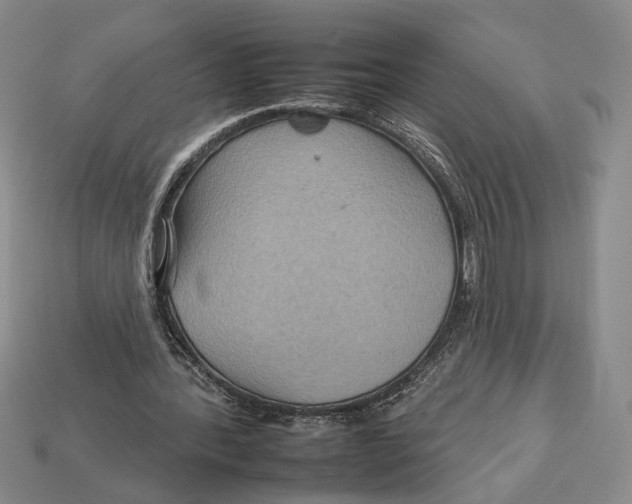 X0000112930388200909211118