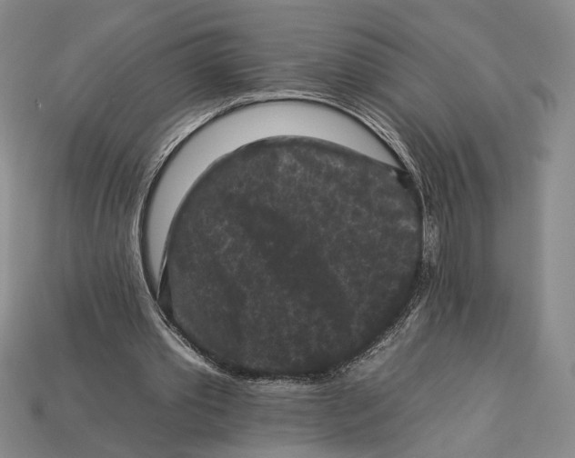 X0000112930389200909211118