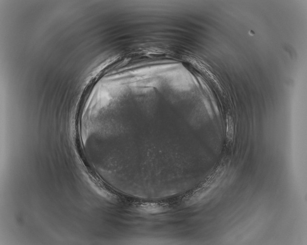 X0000112930390200909211118