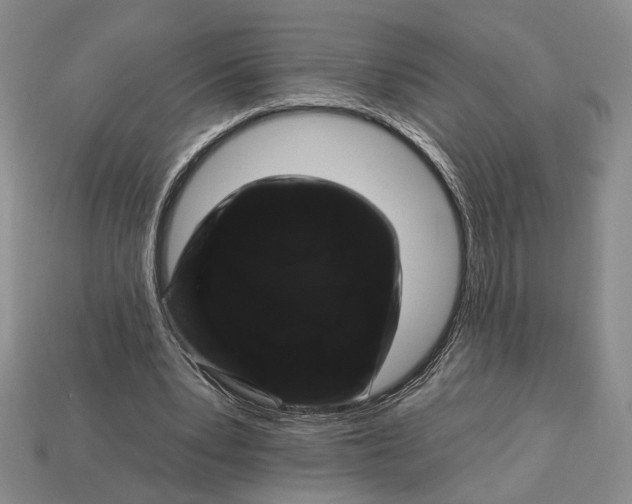 X0000112930391200909211118