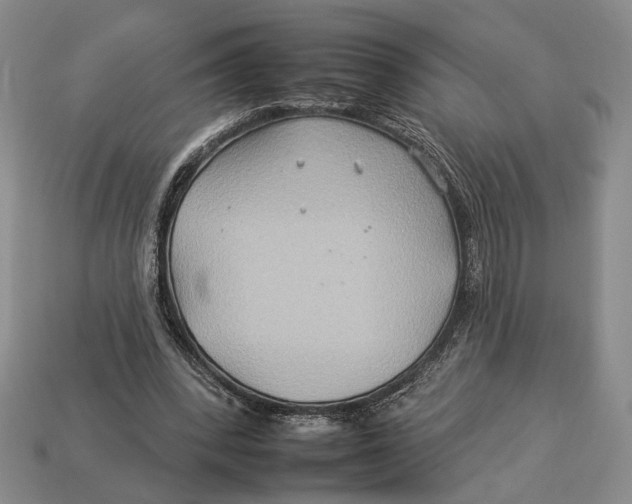 X0000112930392200909211118