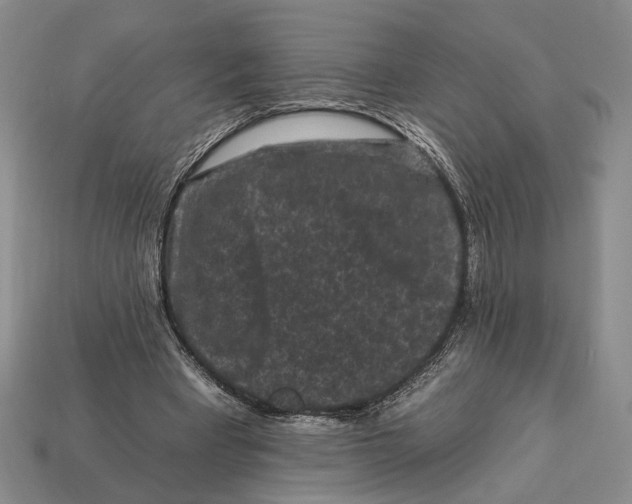 X0000112930393200909211118