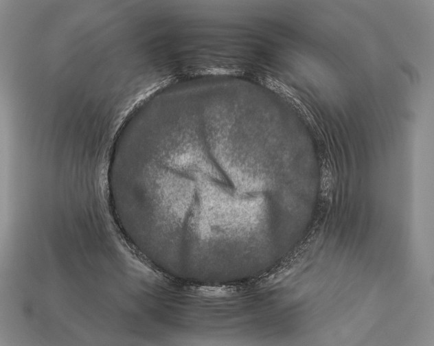 X0000112930394200909211118