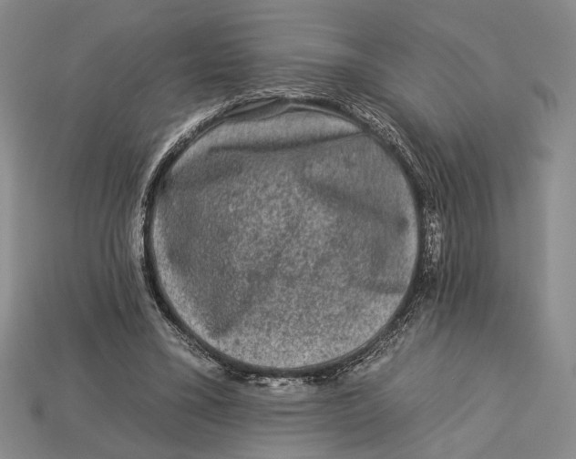 X0000112930395200909211118