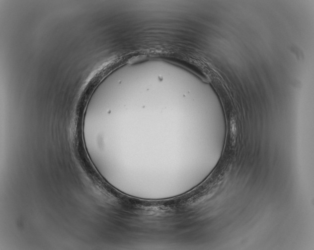 X0000112930396200909211118