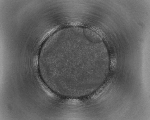 X0000112930397200909211118