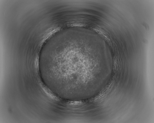 X0000112930398200909211118