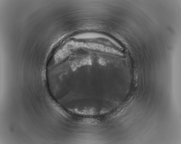 X0000112930399200909211118