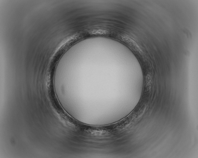 X0000112930400200909211118