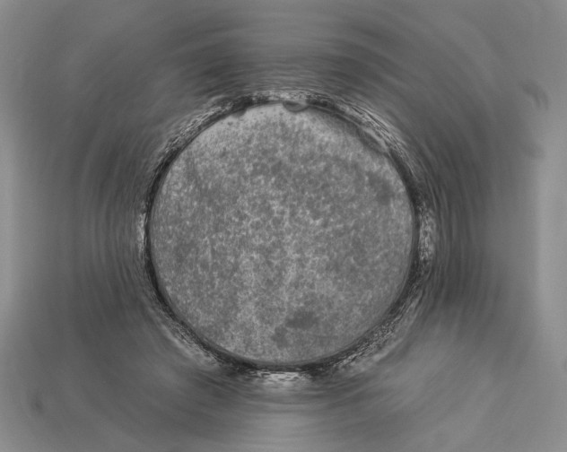 X0000112930401200909211118