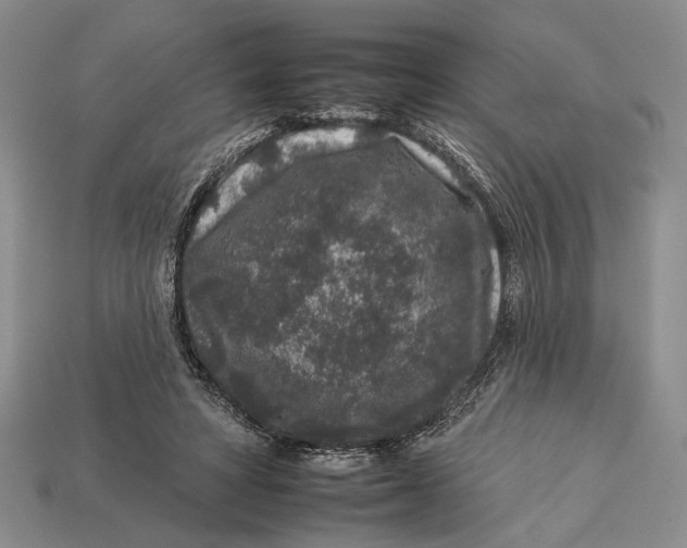X0000112930402200909211117