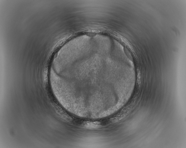 X0000112930403200909211117