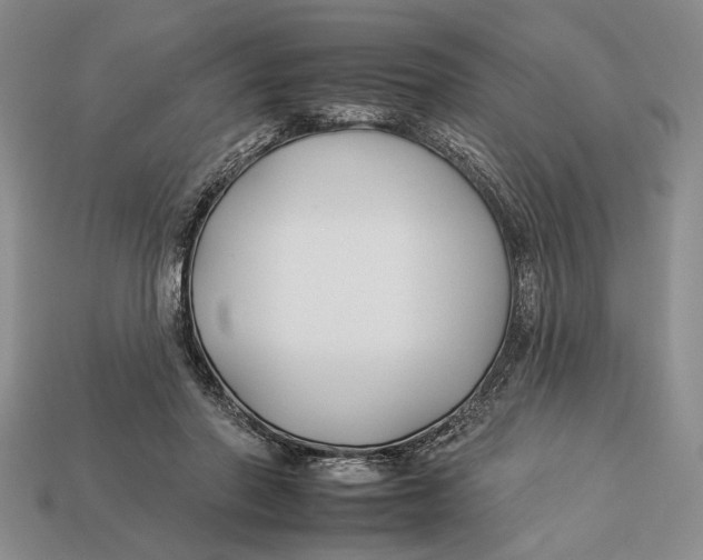 X0000112930406200909211117