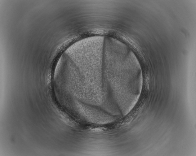 X0000112930407200909211117