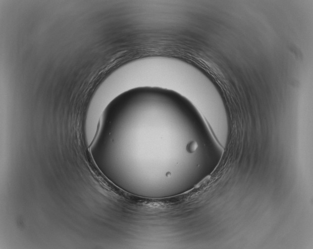 X0000112930409200909211117