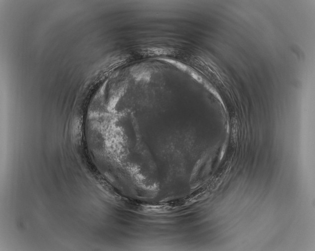 X0000112930410200909211117