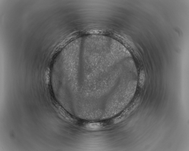 X0000112930413200909211117