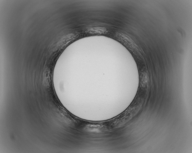 X0000112930414200909211117