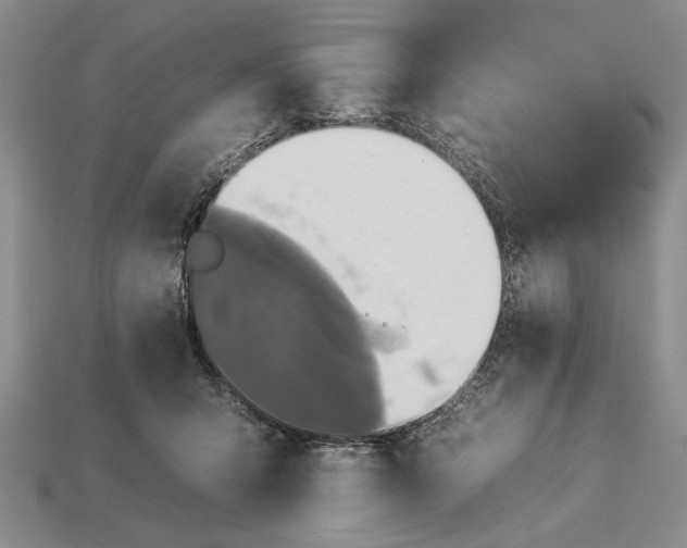 X0000112930415200909211117
