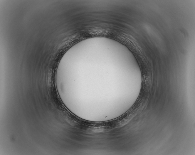 X0000112930416200909211117