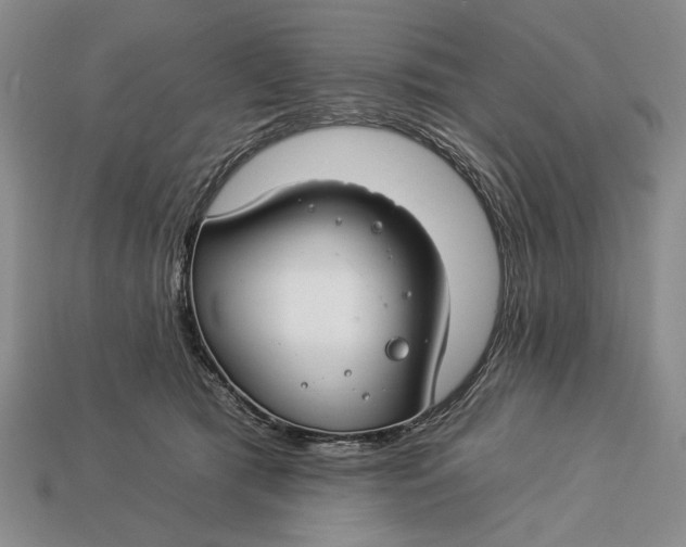 X0000112930417200909211117