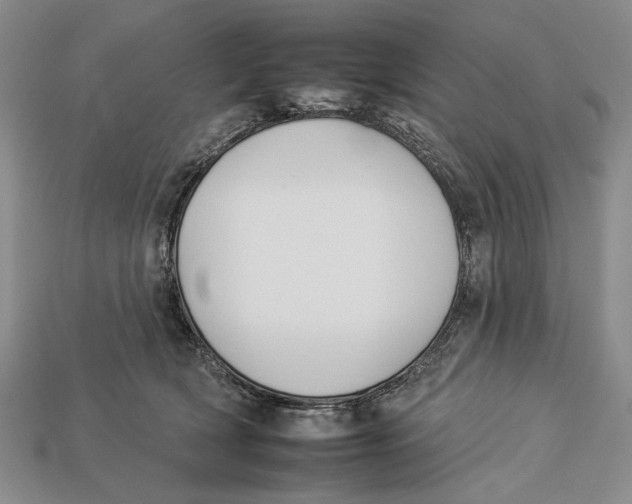 X0000112930418200909211117