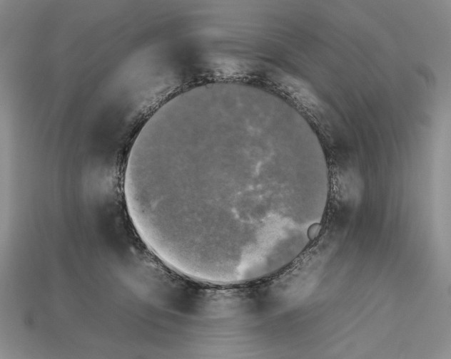 X0000112930419200909211117