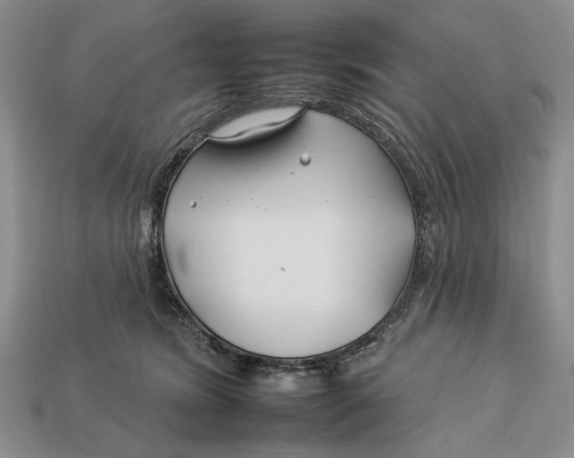 X0000112930420200909211117