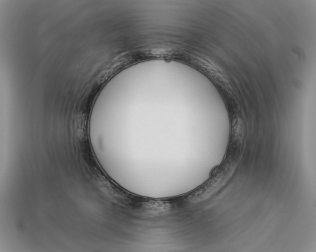 X0000112930421200909211117