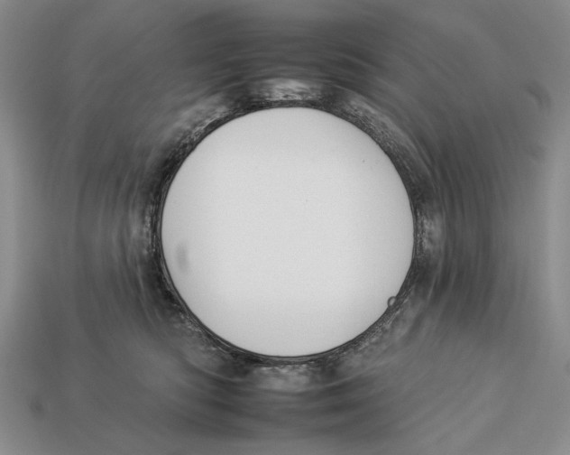X0000112930422200909211117