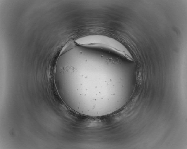 X0000112930424200909211117