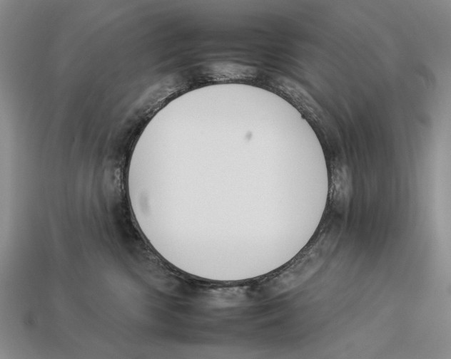 X0000112930426200909211117