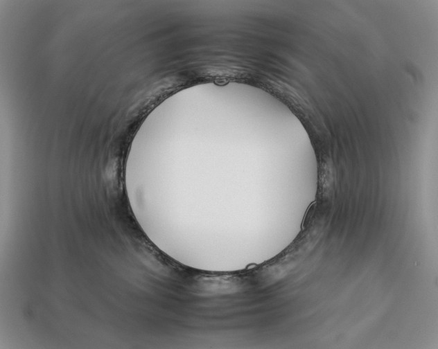 X0000112930428200909211117